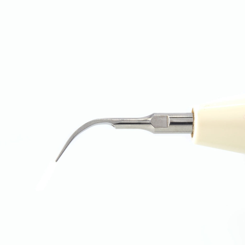 Puntas para ultrasonido P Woodpecker