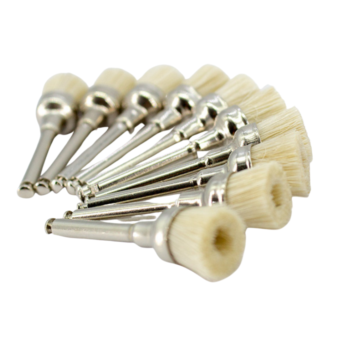 Escobilla para profilaxis dental dura natural