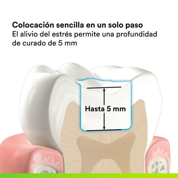 Resina Bulk Fill One Posterior 3M Solventum